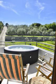 Tiny House with Hot Tub & View - 9