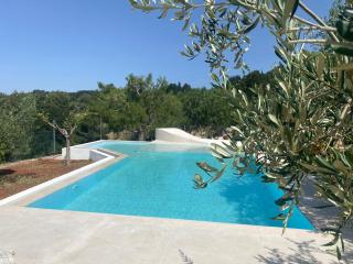 NEW piscina coppa di fuoco - Fasano - 9