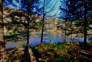 New Construction, Waterfront, Private, 5 acres - Plymouth - 5