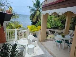 Bromelias - Le Robert - 4