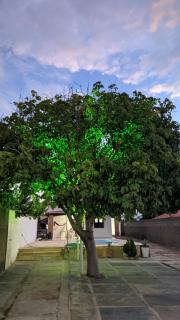 Casa Dona Tica - Luis Correia - 9