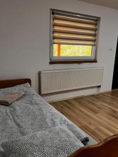 TARNICA - Dwernik - 5
