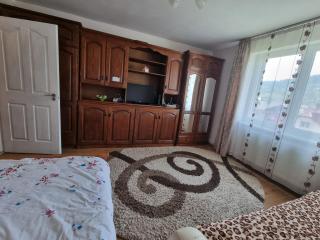 Garsoniera Emilia - 5