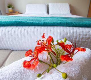 Linda casa no Centro de Búzios a 1min da praia - 2