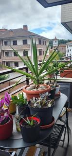 Apartamento Leurtza - Doneztebe - 8