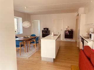 Unique Three Bedroom Apartment in the City of Kolding with Private Parking - Kolding - 0