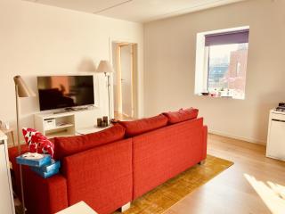 Unique Three Bedroom Apartment in the City of Kolding with Private Parking - Kolding - 3