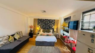 Family Budget Studio Flat in London - London - 5