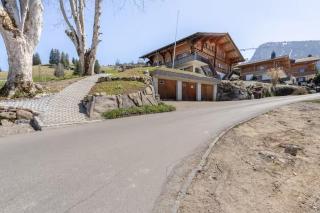 Chalet In The Alps With Mountain View Garden - Reichenbach - 3