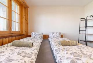 Chalet In The Alps With Mountain View Garden - Reichenbach - 2
