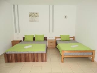 Vila Jenic - Soko Banja - 3