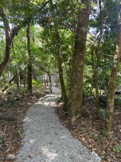 Apartamento Bosque Encantado1 - Monteverde Costa Rica - 1