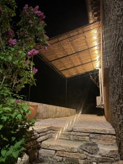 Le clos Gaya - Correns - 6
