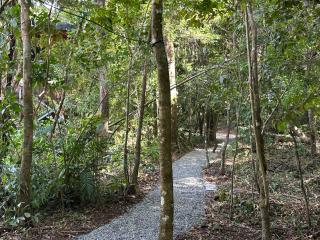 Apartamento Bosque Encantado 2 - Monteverde - 6