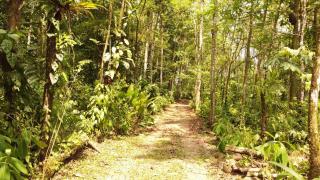 Don Elso House, Trail and Mountain - Tigra - 7