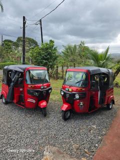 Don Elso House, Trail and Mountain - Tigra - 3