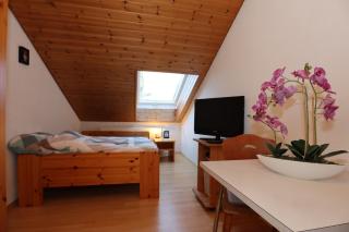 Doppelzimmer Schwarzwaldharmonie mit gem. Küche - Todtmoos - 6