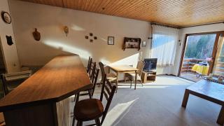 Apartment Todtmoos Traumblick mit Balkon - Todtmoos - 3