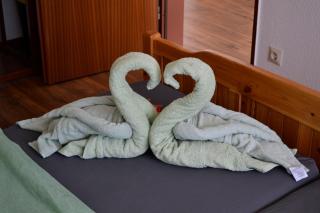 Ferienwohnung Seeblick mit Balkon - Mein Schwarzwaldhäusle - Todtmoos - 5