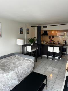 Agréable salon,chambre privatif devant la mer avec parking - Antibes - 7