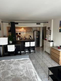Agréable salon,chambre privatif devant la mer avec parking - Antibes - 9