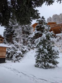 La Foux d'Allos Cottage - Allos - 8