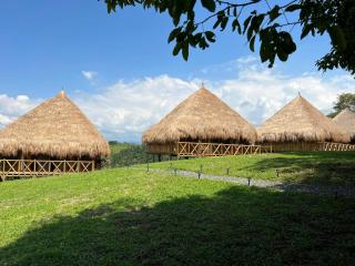 Anahari Centro Wellness - 6