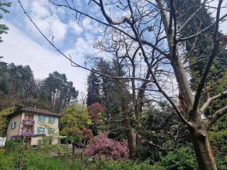 La Pineta - Locarno - 0