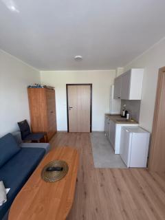 Rybitwa Karwia - Karwia - 8
