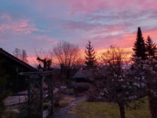 Ferienhaus Amselnest - Bromskirchen - 2