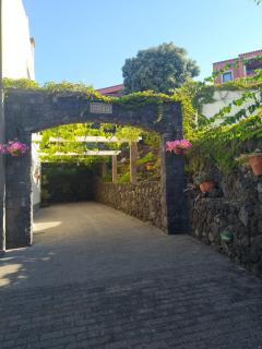 Casa Belcanto da Fajã - Feteira - 5