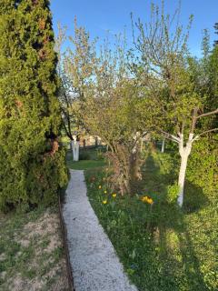 Sarajevo Green Spot - Dolovi - 2