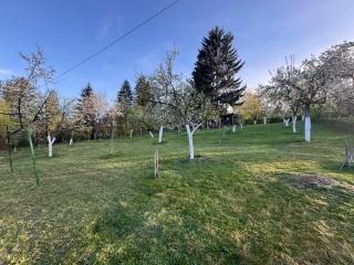 Sarajevo Green Spot - Dolovi - 6