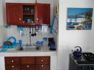 Surf & Stay Waveriders, Encuentro - 1