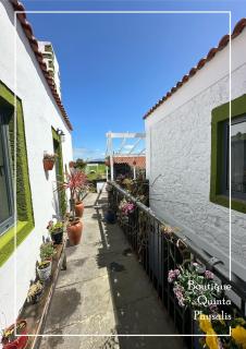 Boutique Quinta Physalis - Fenais da Luz - 6
