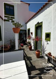 Boutique Quinta Physalis - Fenais da Luz - 3