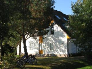 Strandnahe Wohnung Mit Terrasse Und Parkplatz - Zingst - 8