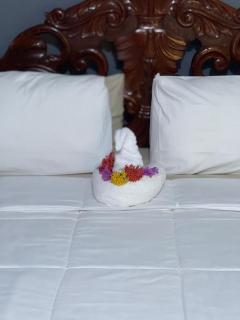 Auglo Villa - Black River - 6