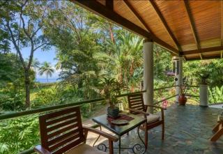 Casa Selva - Dominicalito - 4