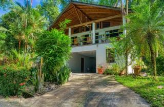 Casa Selva - Dominicalito - 0