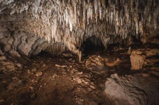 Xcaret Oasis Private Cave for 2 - Playa del Carmen - 1