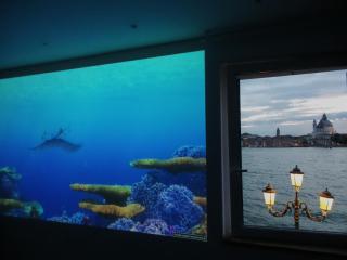 3 Windows on St Mark - Waterfront Apartment - Venice - 1
