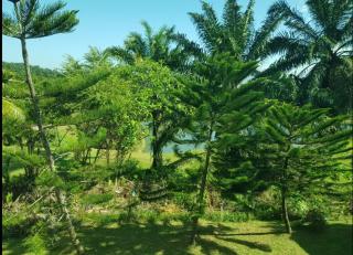 Kulim LakeView Homestay at Golf Resort - Kulim - 2
