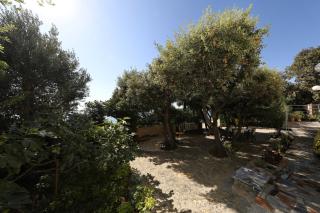 Apartments by the sea Mandre, Pag - 24320 - 2