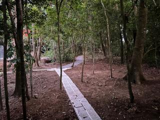 Apartamento Bosque Encantado 2 - Monteverde - 9