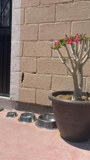 Casita El Zacatal - San José del Cabo - 2