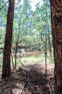 Billy Creek Luxury Lodge on the creek - Sleeps 18! - Pinetop-Lakeside - 6