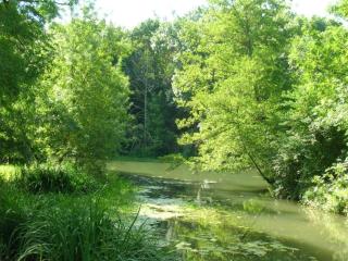 Holiday Home with garden and terrace - Azay-le-Rideau - 5