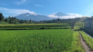 Jegeg Ayu Bungalows Lombok - Tetebatu - 8