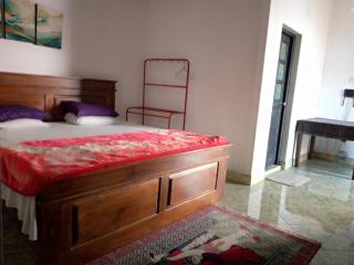 The bawa's guest house - 9